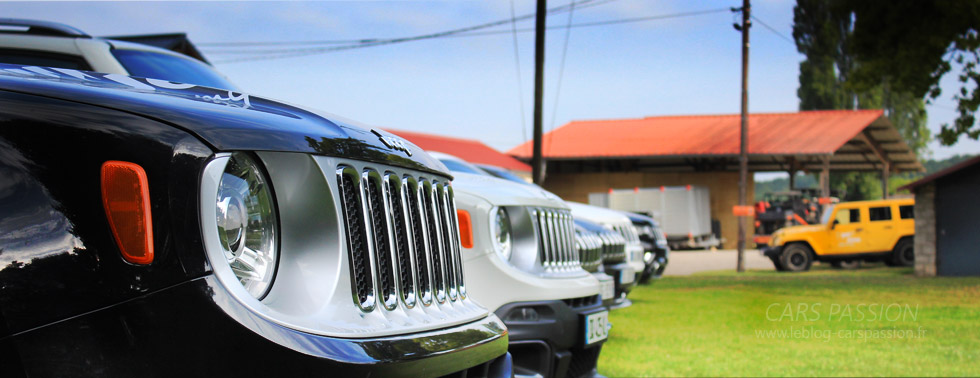 calandre Jeep Renegade