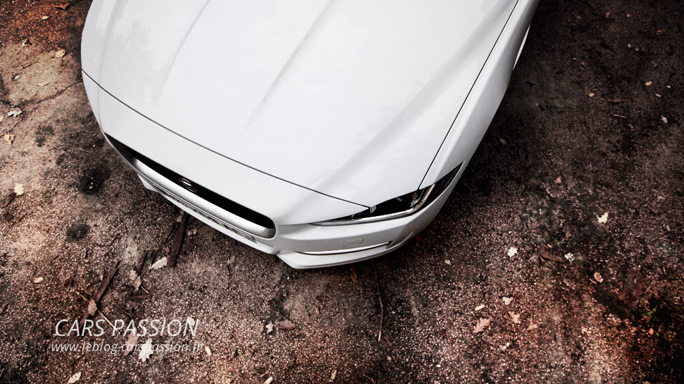 capot blanc Jaguar XE