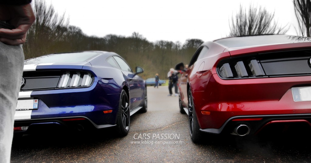 Club Mustang GT V8 2016 rassemblement à Thoiry 2016