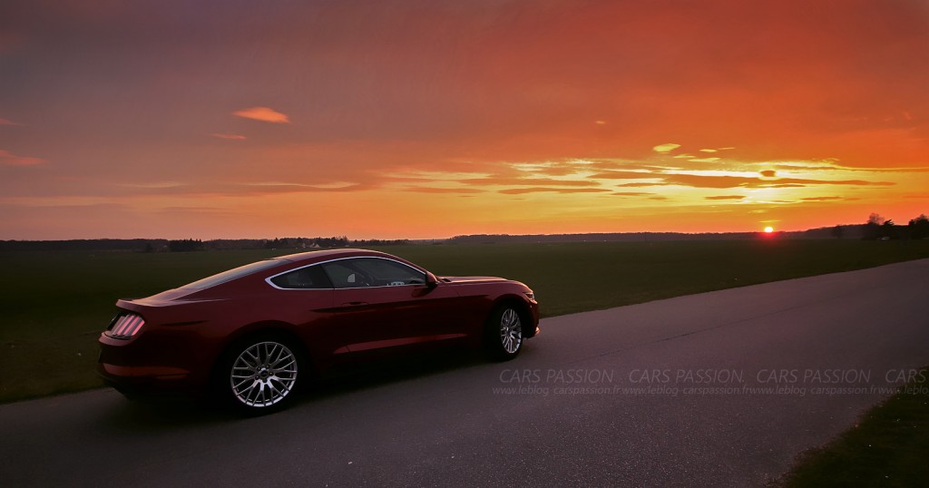 photo-ford-mustang-fastback-sunlight-2