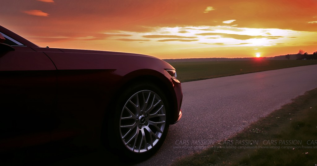 photo-ford-mustang-fastback-sunlight-4