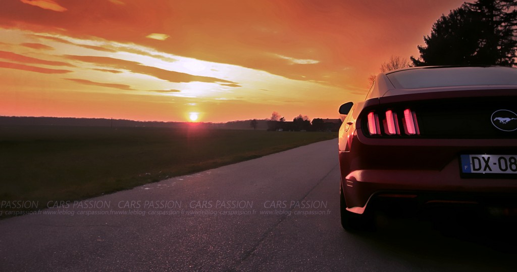 photo-ford-mustang-fastback-sunlight-7