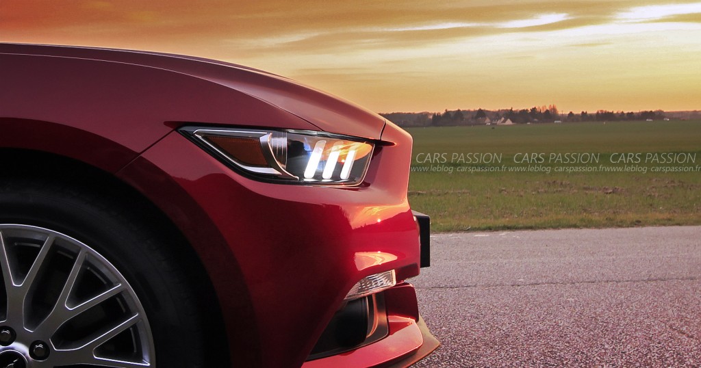 photo-ford-mustang-fastback-sunlight-9