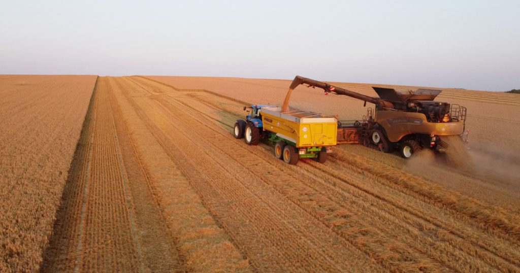 récolte de blés, agriculture moissonneuse batteuse