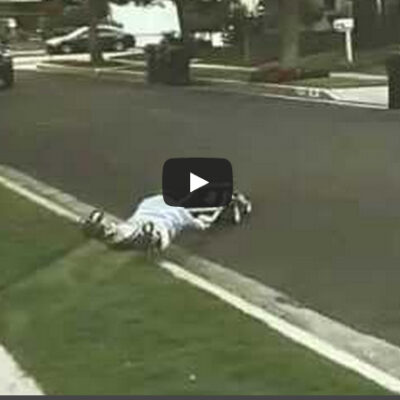 buzz video tondeuse