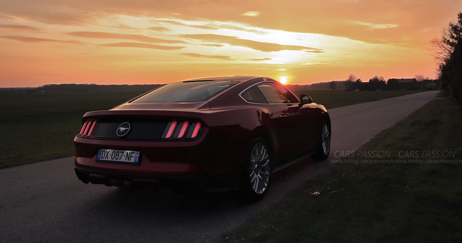 photo-ford-mustang-fastback-sunlight-8