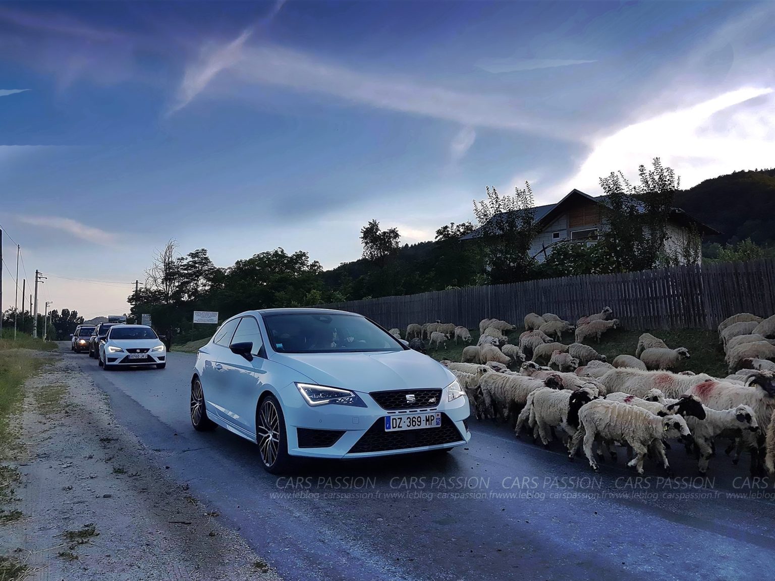 essai-seat-leon-cupra-290-transfagarasan-roumanie