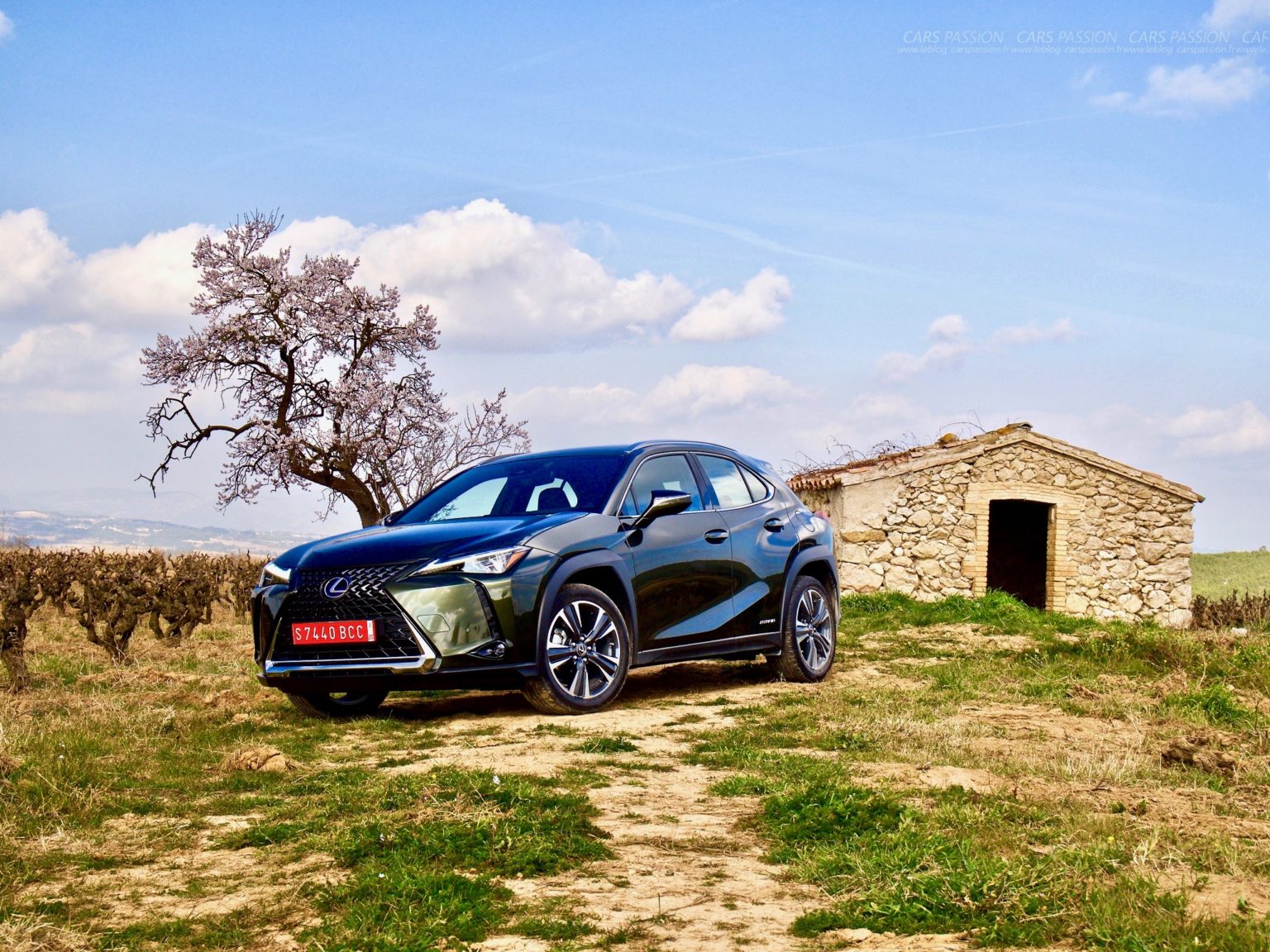 essai avis Lexus UX 250H